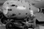 Atomic bomb_tiny